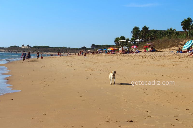 Playa de Zahora